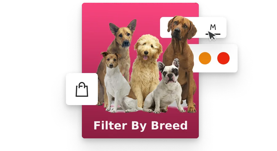 dog for sale in uk